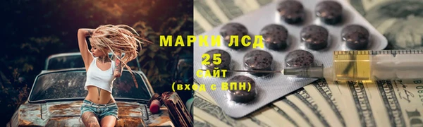 соль ск Медногорск