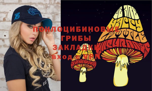 хмурый Медвежьегорск