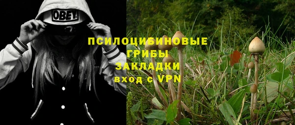 хмурый Медвежьегорск